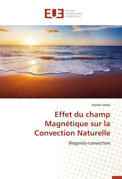 Produktbild: Effet du champ Magn&eacute;tique sur la Convection Naturelle