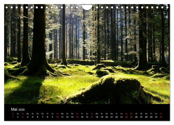 Produktbild: Irland County Cork (Wandkalender 2026 DIN A4 quer), CALVENDO Monatskalender