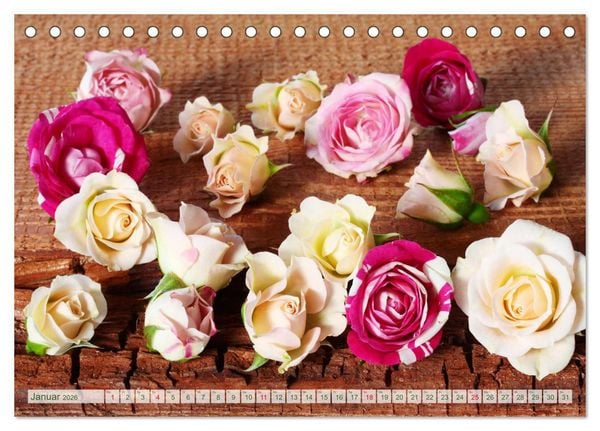 Produktbild: So viele sch&ouml;ne Rosen (Tischkalender 2026 DIN A5 quer), CALVENDO Monatskalender