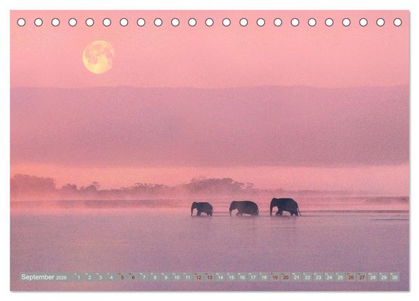 Produktbild: Vollmond - Momente der Ruhe (Tischkalender 2026 DIN A5 quer), CALVENDO Monatskalender