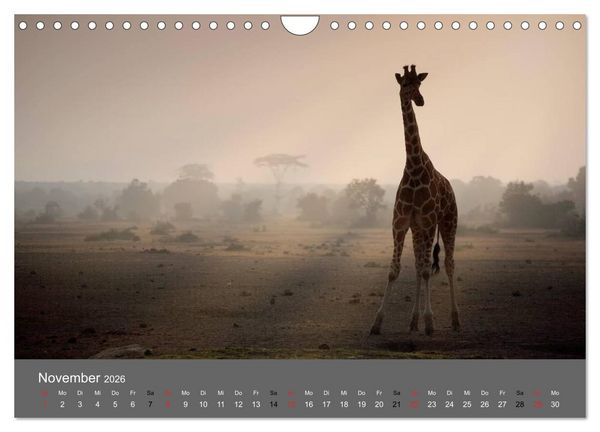 Produktbild: Ich tr&auml;umte von Afrika (Wandkalender 2026 DIN A4 quer), CALVENDO Monatskalender