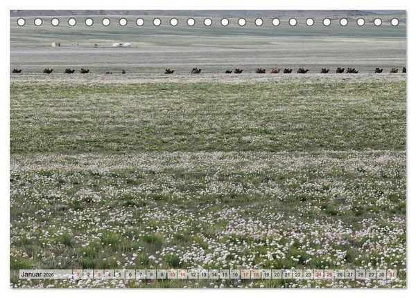 Produktbild: Nord-Gobi (Tischkalender 2026 DIN A5 quer), CALVENDO Monatskalender