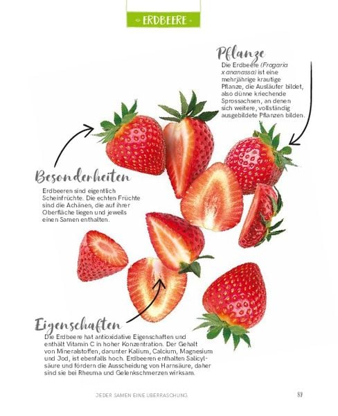 Regrowing – Neue Triebe aus Obst- und Gemüseresten