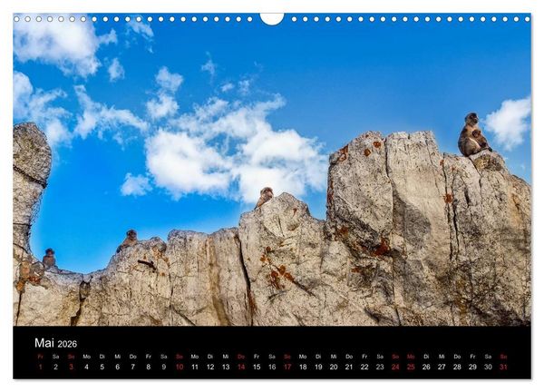 Produktbild: Gibraltar - der Affenfelsen (Wandkalender 2026 DIN A3 quer), CALVENDO Monatskalender