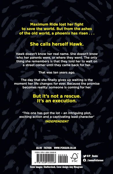 Produktbild: Hawk: A Maximum Ride Novel