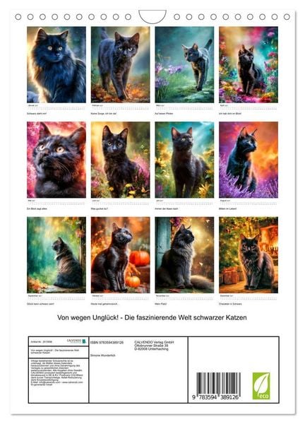 Produktbild: Von wegen Ungl&uuml;ck! - Die faszinierende Welt schwarzer Katzen (Wandkalender 2027 DIN A4 hoch), CALVENDO Monatskalender
