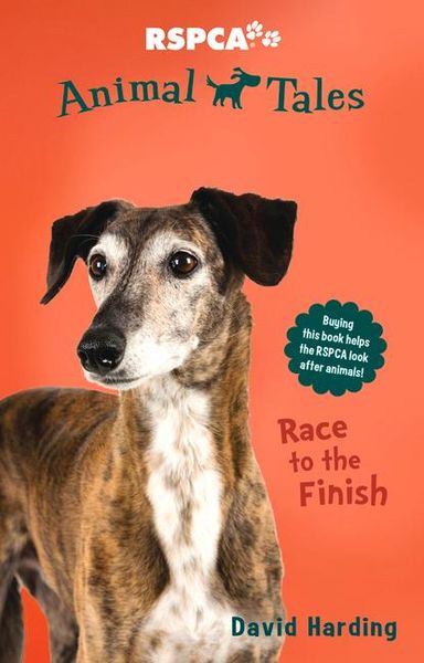 Produktbild: Race to the Finish