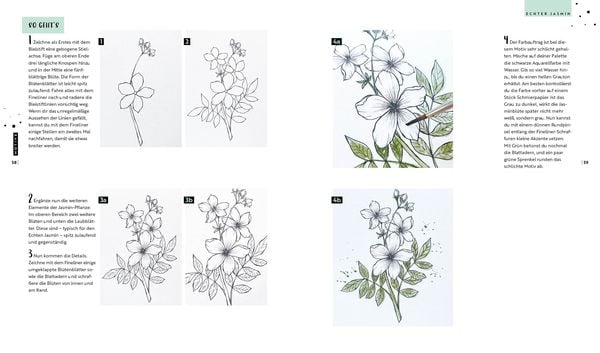 Produktbild: Watercolor &ndash; Florale Motive around the world: von heimisch bis exotisch