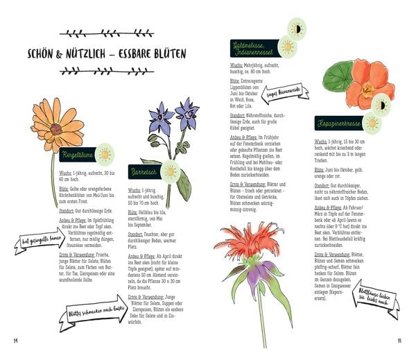 Produktbild: Mein Kr&auml;uter-Jahr - Das informative Bullet Journal - Monat f&uuml;r Monat