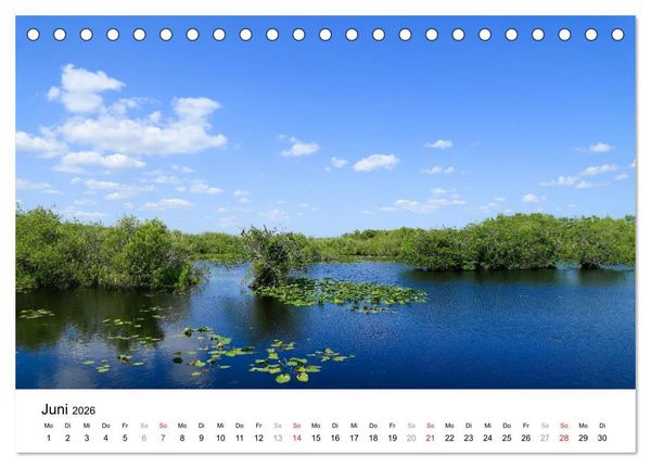 Produktbild: Unter der Sonne Floridas (Tischkalender 2026 DIN A5 quer), CALVENDO Monatskalender