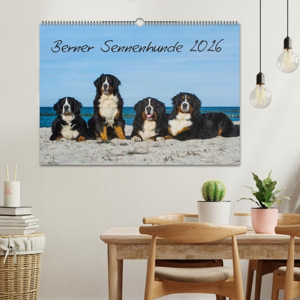 Produktbild: Berner Sennenhund 2026 (Wandkalender 2026 DIN A2 quer), CALVENDO Monatskalender