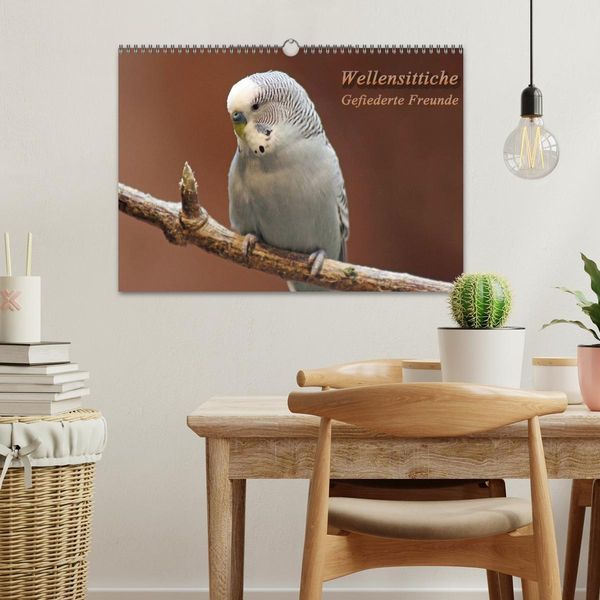 Produktbild: Wellensittiche - Gefiederte Freunde (Wandkalender 2026 DIN A3 quer), CALVENDO Monatskalender