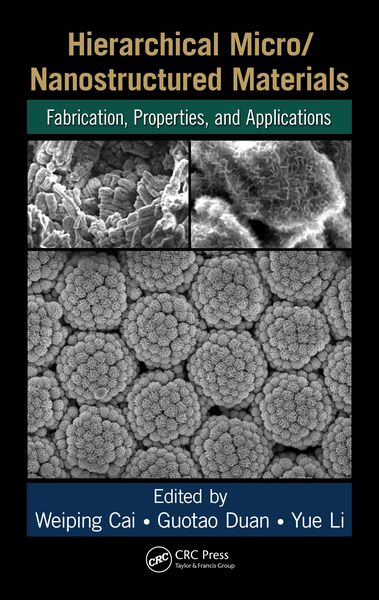 Produktbild: Hierarchical Micro/Nanostructured Materials