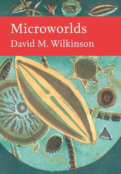 Produktbild: MICROWORLDS_NN LIB151 HB
