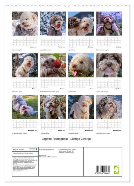 Produktbild: Lagotto Romagnolo - Lustige Zwerge (hochwertiger Premium Wandkalender 2026 DIN A2 hoch), Kunstdruck in Hochglanz