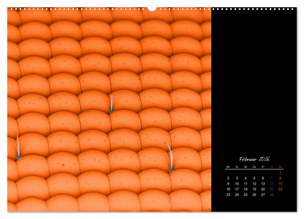 Produktbild: strucTEMs Mikrowelt - Winzige Nachbarn ganz gro&szlig; (hochwertiger Premium Wandkalender 2026 DIN A2 quer), Kunstdruck in Hochglanz