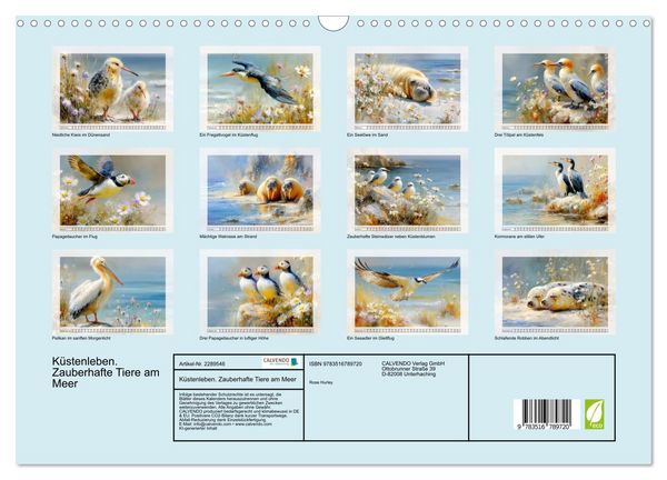 Produktbild: K&uuml;stenleben. Zauberhafte Tiere am Meer (Wandkalender 2027 DIN A3 quer), CALVENDO Monatskalender