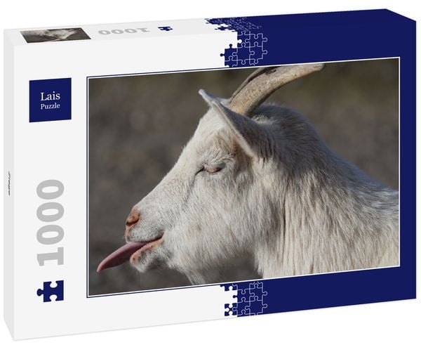 Lais Puzzle Ziege 1000 Teile