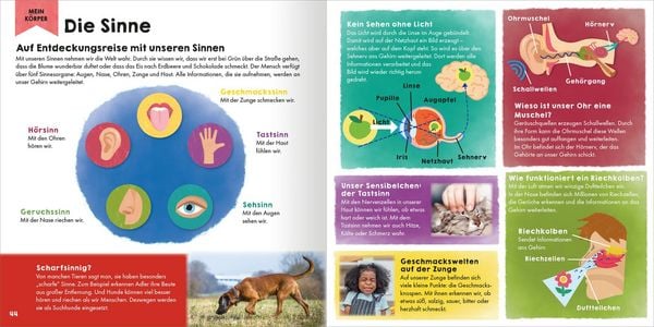 Produktbild: Mein erstes Grundschul-Lexikon Natur & Technik