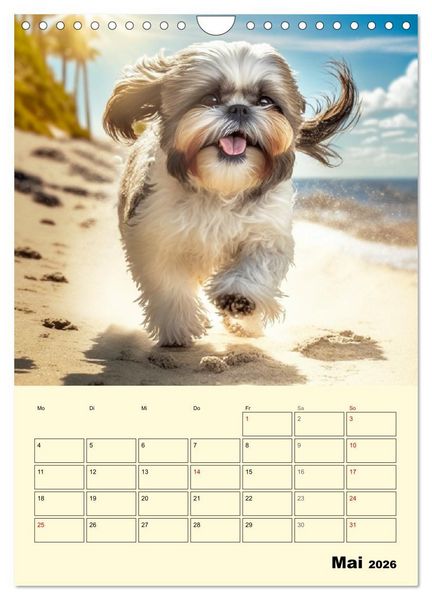 Produktbild: Shih Tzu Alarm. Gl&uuml;ckliche Wuschelk&ouml;pfe (Wandkalender 2026 DIN A4 hoch), CALVENDO Monatskalender