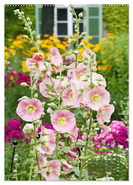 Produktbild: Malvenbl&uuml;te (Wandkalender 2026 DIN A2 hoch), CALVENDO Monatskalender