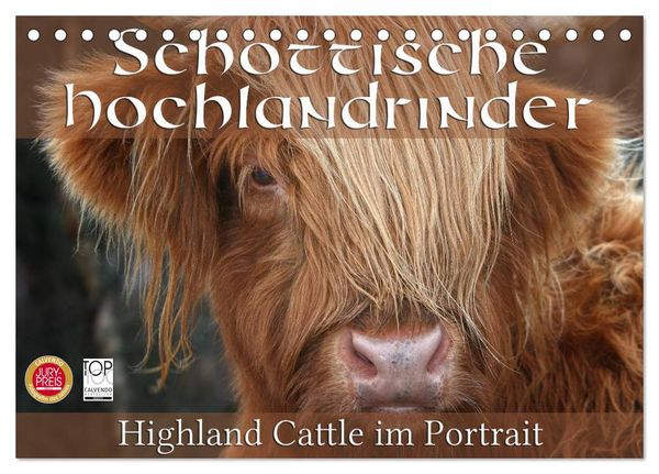 Produktbild: Schottische Hochlandrinder - Highland Cattle im Portrait (Tischkalender 2026 DIN A5 quer), CALVENDO Monatskalender