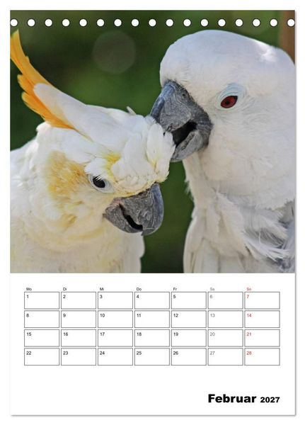 Produktbild: Papageien - Graupapagei, Rosella und Co. (Tischkalender 2027 DIN A5 hoch), CALVENDO Monatskalender