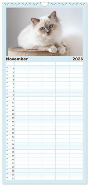 Produktbild: Familienplaner 2026 - Heilige Birma Katzen - Eine Rasse mit traumhaft blauen Augen. mit 5 Spalten (Wandkalender, 21 x 45 cm) CALVENDO