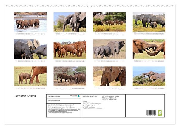 Produktbild: Elefanten Afrikas (Wandkalender 2026 DIN A2 quer), CALVENDO Monatskalender