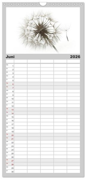 Produktbild: Familienplaner 2026 - Filigrane Pusteblumen / Geburtstagskalender mit 5 Spalten (Wandkalender, 21 x 45 cm) CALVENDO
