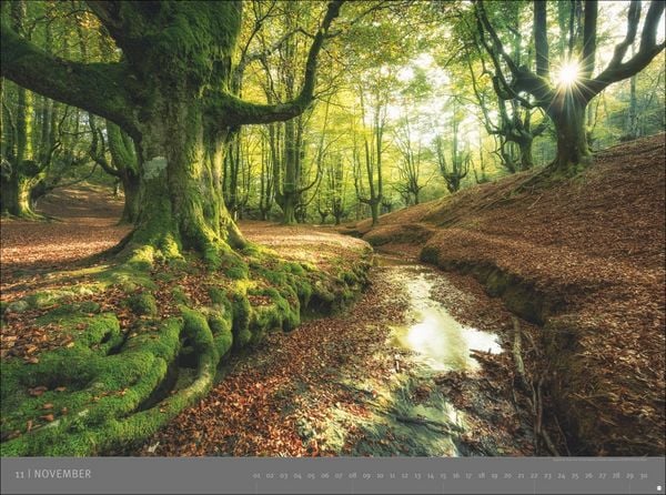 Produktbild: AvH Naturwunder Europas 2026
