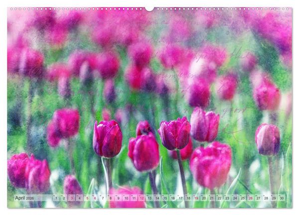 Produktbild: Vintage Nature - Romantische Naturaufnahmen (Wandkalender 2026 DIN A2 quer), CALVENDO Monatskalender