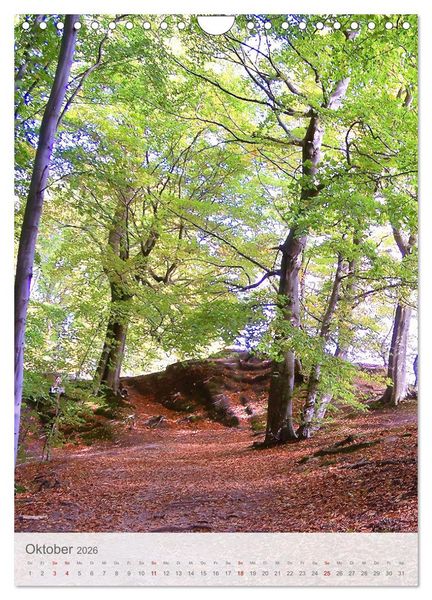 Produktbild: Im Nationalpark Jasmund - Naturwunder auf der Ostseeinsel R&uuml;gen (Wandkalender 2026 DIN A4 hoch), CALVENDO Monatskalender