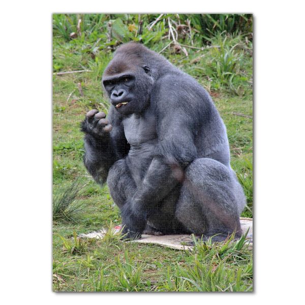 Produktbild: Lais Puzzle Gorilla 1000 Teile