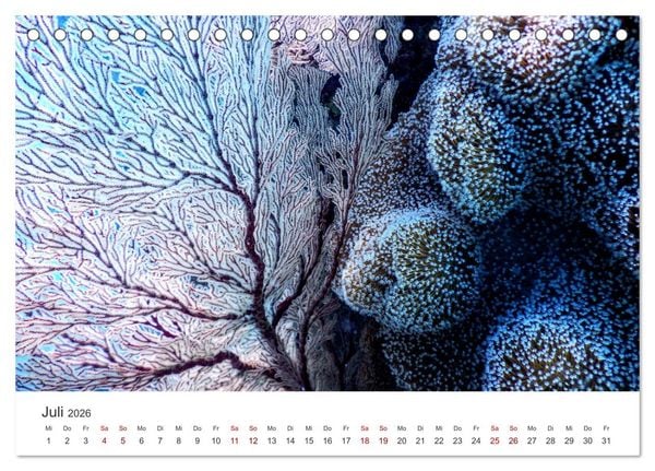 Produktbild: Tiefsee - Ein Abenteuer ins Unbekannte. (Tischkalender 2026 DIN A5 quer), CALVENDO Monatskalender