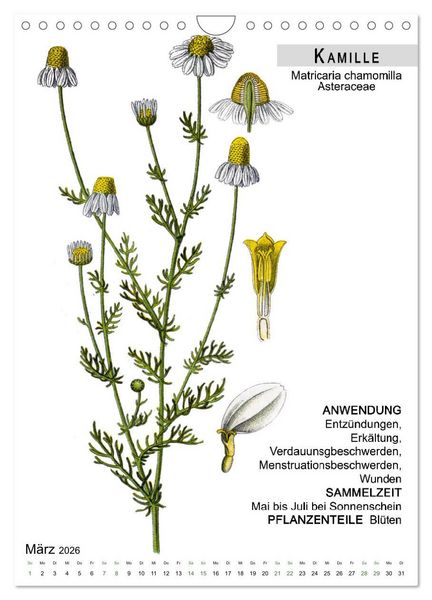 Produktbild: Heilpflanzen (Wandkalender 2026 DIN A4 hoch), CALVENDO Monatskalender