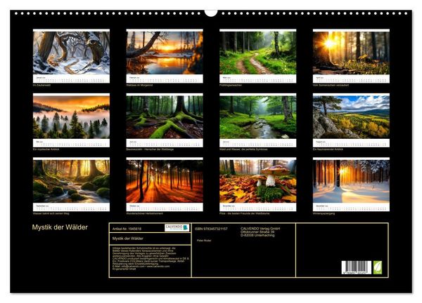 Produktbild: Mystik der W&auml;lder (Wandkalender 2026 DIN A2 quer), CALVENDO Monatskalender
