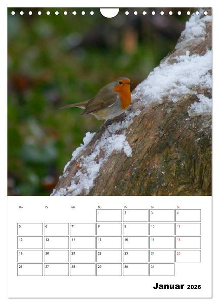 Produktbild: Heimische Singv&ouml;gel (Wandkalender 2026 DIN A4 hoch), CALVENDO Monatskalender