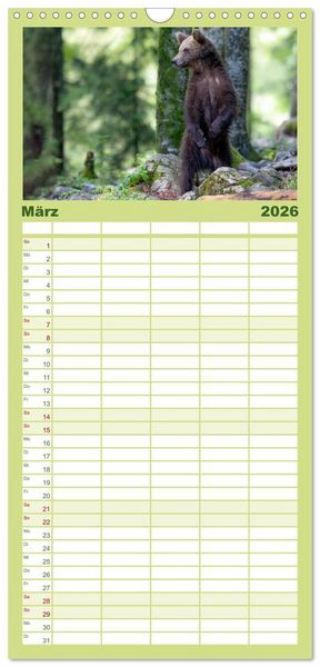 Produktbild: Familienplaner 2026 - Lautlos in den W&auml;ldern Sloweniens mit 5 Spalten (Wandkalender, 21 x 45 cm) CALVENDO