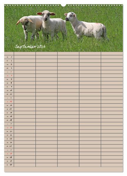 Produktbild: Der bel&auml;mmerte Familienplaner (Wandkalender 2026 DIN A2 hoch), CALVENDO Monatskalender