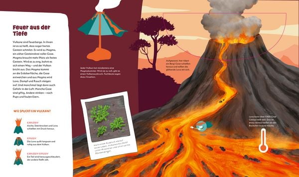 Produktbild: WAS IST WAS Kids Unsere Erde. Ein Planet voller Leben &ndash; und du bist mittendrin!