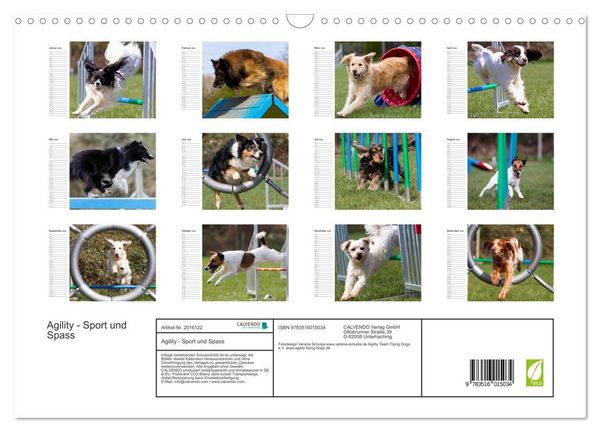 Produktbild: Agility - Sport und Spass (Wandkalender 2026 DIN A3 quer), CALVENDO Monatskalender