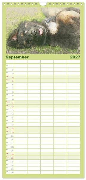 Produktbild: Familienplaner 2027 - Hundewelpen 2027 mit 5 Spalten (Wandkalender, 21 x 45 cm) CALVENDO