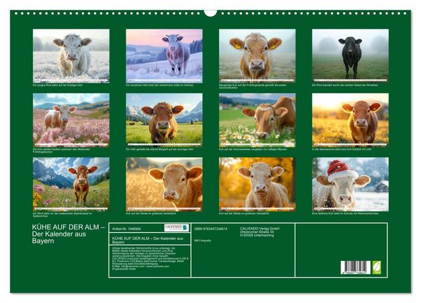 Produktbild: K&Uuml;HE AUF DER ALM &ndash; Der Kalender aus Bayern (Wandkalender 2026 DIN A2 quer), CALVENDO Monatskalender
