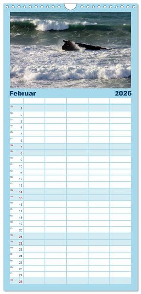Produktbild: Familienplaner 2026 - Fuerteventura mit 5 Spalten (Wandkalender, 21 x 45 cm) CALVENDO