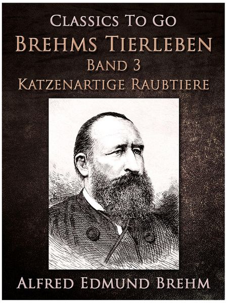 Produktbild: Ein stummer Musikant. Die Geschichte einer K&uuml;nstlerliebe
