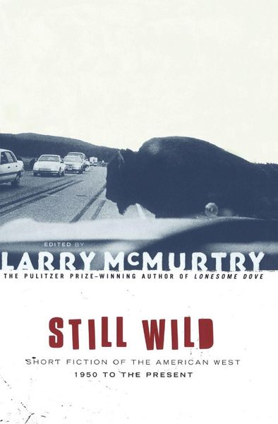 Produktbild: Still Wild