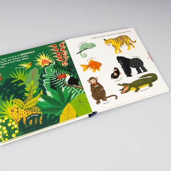 Produktbild: Kennst du die Tiere?
