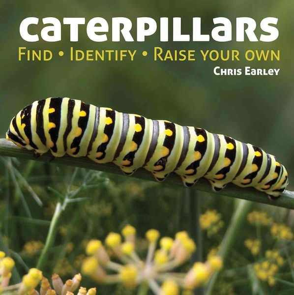 Produktbild: Caterpillars