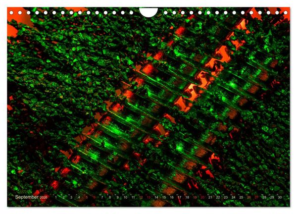 Produktbild: Experimentelle Makrofotografie mit Eisenpulver und Aluminiumfolie (Wandkalender 2026 DIN A4 quer), CALVENDO Monatskalender